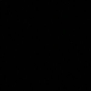 Meet your Posher, Ally